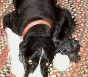 Maggie 1
