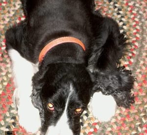 Maggie 1